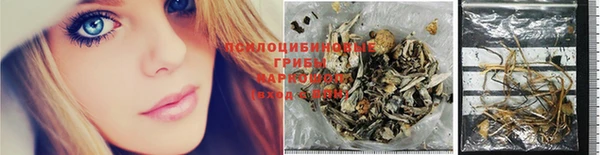 хмурый Богданович
