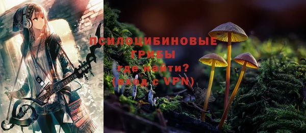 эйфоретик Богородск
